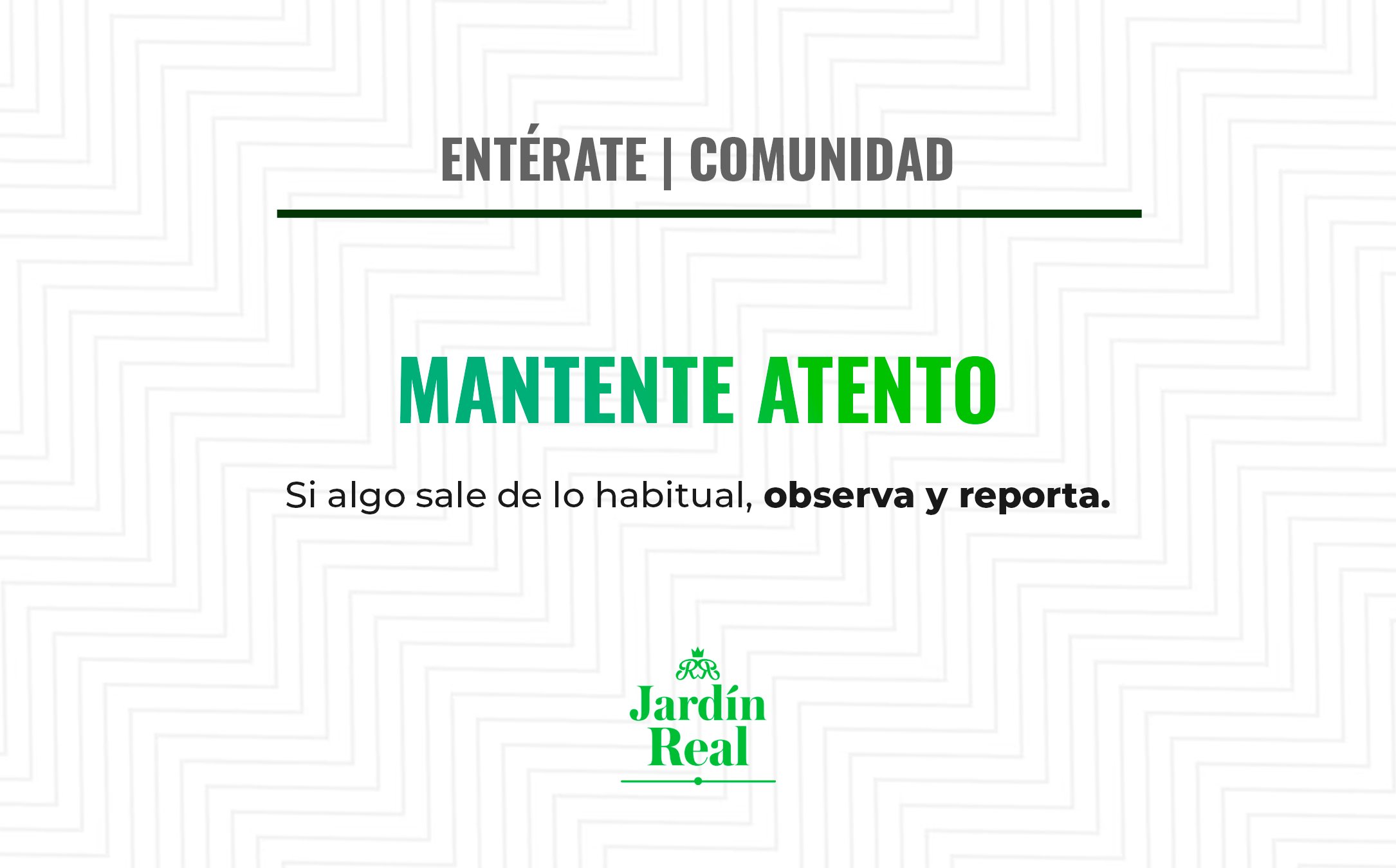Mantente atento y reporta