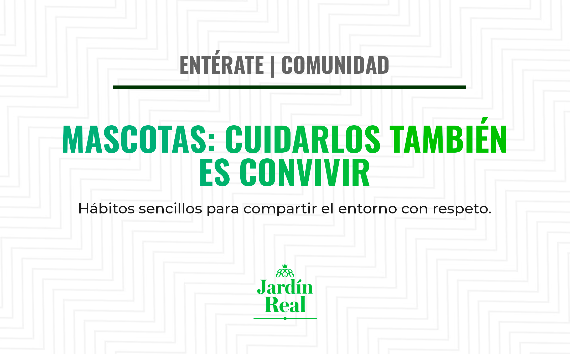 Cuidado responsable de mascotas: convivir también es cuidarlos